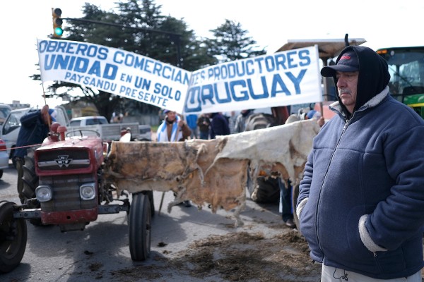 Movilización de Un Solo Uruguay || El movimiento 