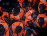 El Mar Mediterráneo es una de las rutas migratorias más peligrosas del mundo: en 2016 murieron ahogadas más de 5.000 personas. || Anna Surinyach