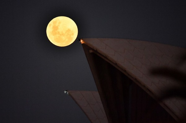 Australia || AFP
