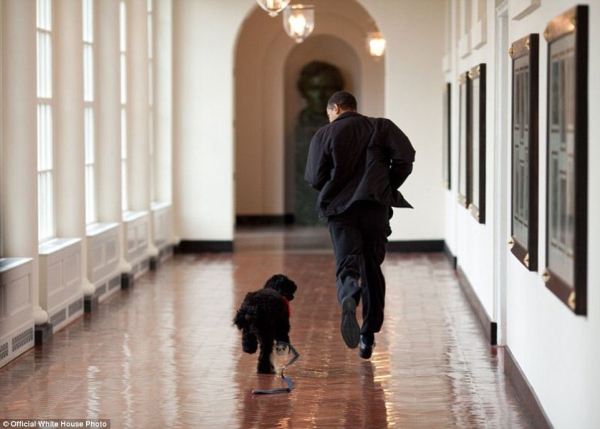 Pete Souza - The White House