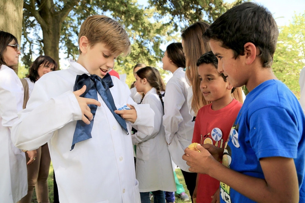 Consejo de Educación Inicial y Primaria