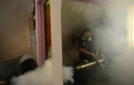Portal 180 - OMS advierte que el Zika se propaga de “forma explosiva”