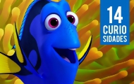 Portal 180 - Curiosidades de Buscando a Dory