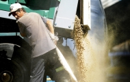 Portal 180 - La soja provocó 25% de aumento en exportaciones de abril