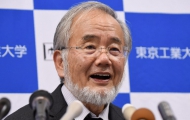 Portal 180 - Premio Nobel de Medicina para un japonés especializado en la autofagia