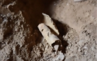 Portal 180 - Israel anuncia el descubrimiento de una cueva que guardó manuscritos milenarios
