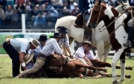 Portal 180 - Murió un caballo en la Criolla y piden que se suspenda 