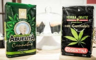 Portal 180 - MSP recomienda no consumir yerba con cannabis
