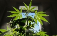 Portal 180 - “Es horrible, él estaba en regla”, el testimonio de la madre del joven preso por autocultivo