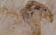 Portal 180 - Hallan el hongo más antiguo, que compartió la Tierra con los dinosaurios
