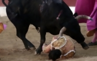 Portal 180 - Murió un torero español tras sufrir una cornada