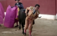 Portal 180 - España despide como héroe al torero Iván Fandiño