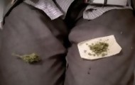 Portal 180 - El País de Madrid habla de la “revolución silenciosa” de la marihuana en Uruguay