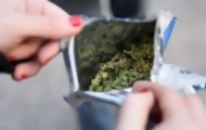 Portal 180 - Por fuerte demanda, Ircca acelerará reabastecimiento de marihuana a farmacias