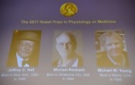 Portal 180 - Nobel de Medicina a tres estadounidenses expertos en reloj biológico