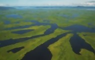 Portal 180 - El Pantanal, el mayor humedal del planeta