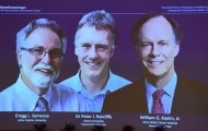 Portal 180 - Nobel de Medicina para trío que investigó cómo se adaptan las células al oxigeno