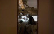 Portal 180 - Suspensión de cirugías permitió que instituciones “con números rojos” compensaran balances, según SAQ