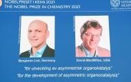 Portal 180 - Dos expertos en catalizadores ganan el Nobel de Química