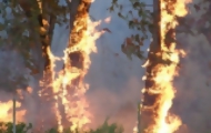 Portal 180 - Artigas: incendio en 1.400 hectáreas