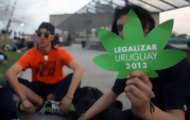 Portal 180 - "El primer día del fin de la prohibición en el mundo"