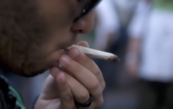 Portal 180 - ONU: legalización de marihuana viola convenciones internacionales