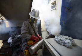Portal 180 - OMS declara emergencia sanitaria mundial por Zika