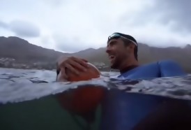 Portal 180 - Michael Phelps perdió su duelo con un tiburón