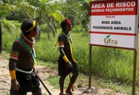 Portal 180 - Indígenas, guardianes de bosques amenazados en Brasil