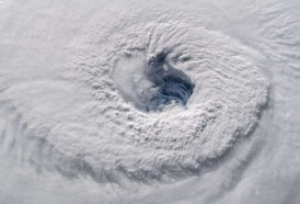 Portal 180 - ¡Váyanse ya!: alerta en costa este de EEUU por el huracán Florence