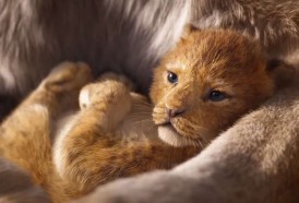 Portal 180 - Primer adelanto del remake de El Rey León con escenas idénticas a la original
