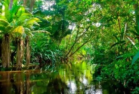 Portal 180 - VI Bienal de Montevideo