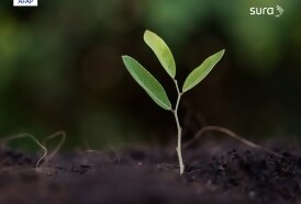 Portal 180 - AFAP SURA muestra el impacto de sus inversiones en el desarrollo sostenible del país