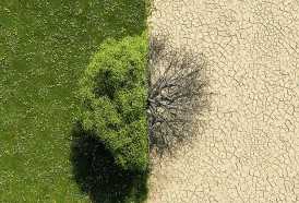 Portal 180 - INCENDIOS, SEQUÍAS, OLAS DE CALOR Y LLUVIAS INTENSAS, LOS SUCESOS CLIMÁTICOS CON MAYOR IMPACTO ECONÓMICO Y SOCIAL 