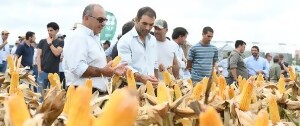 Portal 180 - ADP-Agronegocios del Plata renueva su evento de actualización de cultivos de verano
