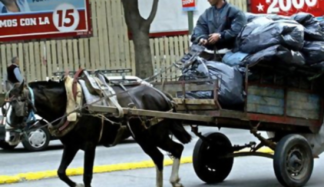 Desde otoño habrá contenedores anaranjados en Montevideo