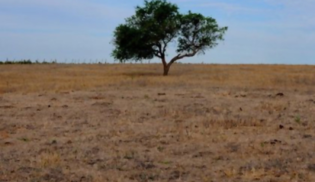 Intendencia asiste familias sin agua