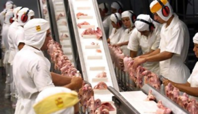 Ingreso de pollo brasileño no bajaría el precio