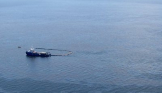 Golfo: marea negra amenaza con una catástrofe
