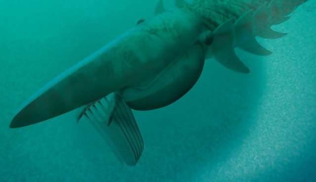 Descubren monstruo marino que vivió hace 480 millones de años​