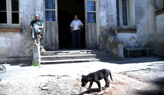 ONG alojará a perros más difíciles de las colonias psiquiátricas