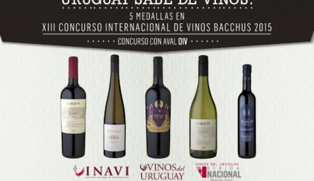 Nuestros vinos siguen cosechando premios: Bacchus 2015