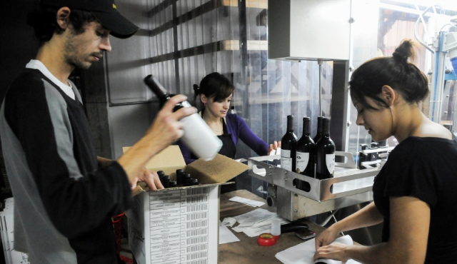 “Casi 99% de los vinos de la cosecha 2015 son de muy alta calidad”