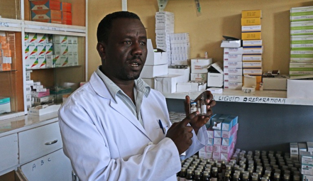 Una planta china, nueva esperanza para luchar contra la malaria en África