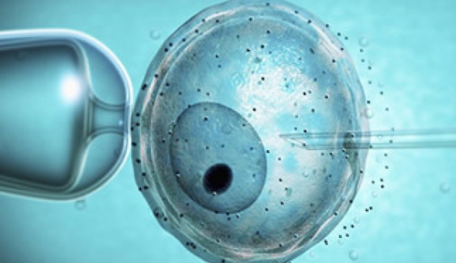 Pareja inicia primera in vitro con nueva ley