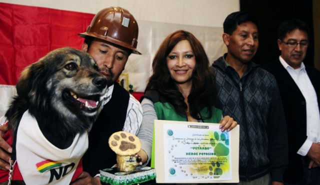 El perro Petardo, símbolo del No a la reelección de Morales en Bolivia