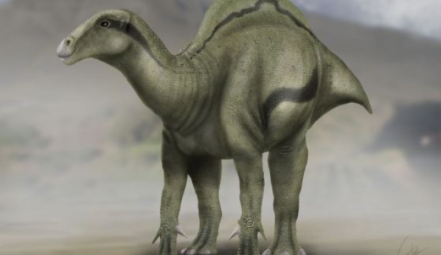 Huesos desenterrados en España revelan un nuevo dinosaurio