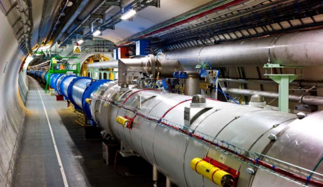 Una comadreja obligó a parar el mayor acelerador de partículas del mundo