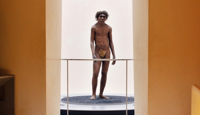 ¿Fue el hombre de Neandertal el primer explorador de cuevas?