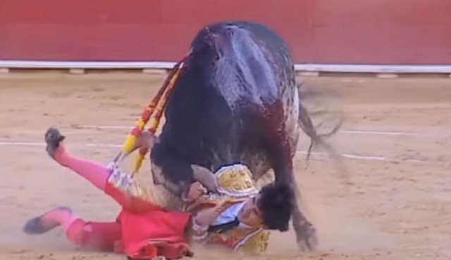 Murió un joven torero español corneado en Teruel